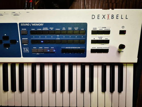 Dexibell S9對比雅馬哈機械鋼琴與工作站 選琴如品酒，硬件零售新視角